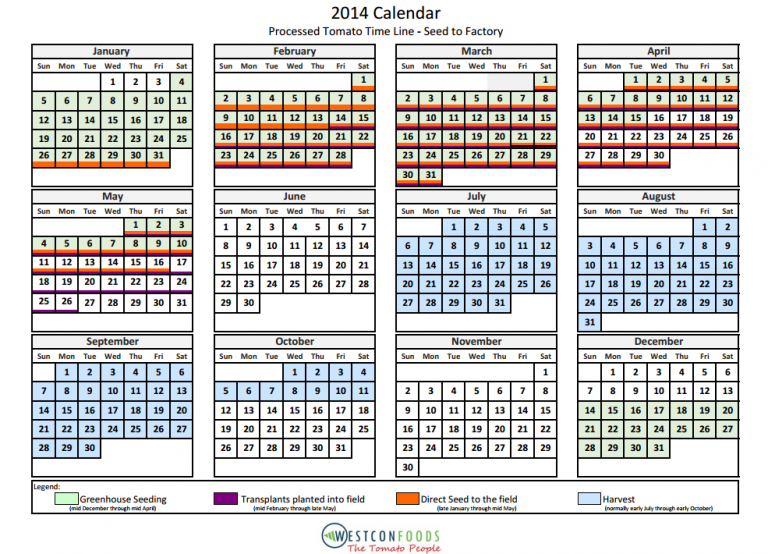 Processed Tomato Timeline Westcon Foods, Inc